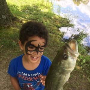 Meet your Posher, Larnise